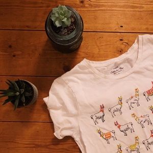 J. Crew Collection Tee